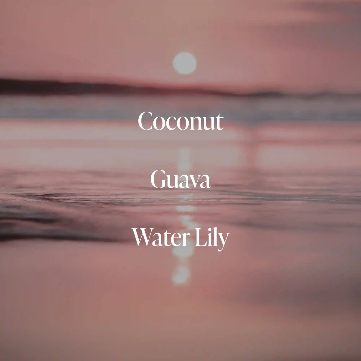 Coral Coast - Body Duo
